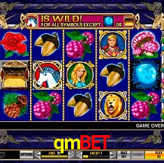 qmbet Rio de Janeiro - Professional Dealers
